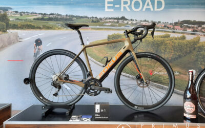 E-GRAVEL || FOCUS PARALANE2