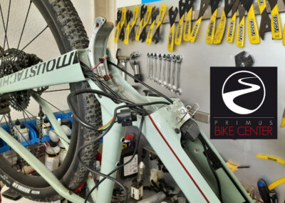 Bike light - connected ebike