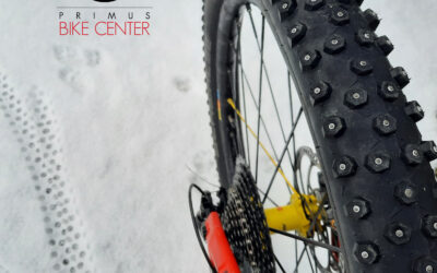 ICE || POUR LES MORDUS