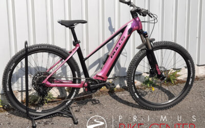 PINK LADY || BULLS AMINGA EVA