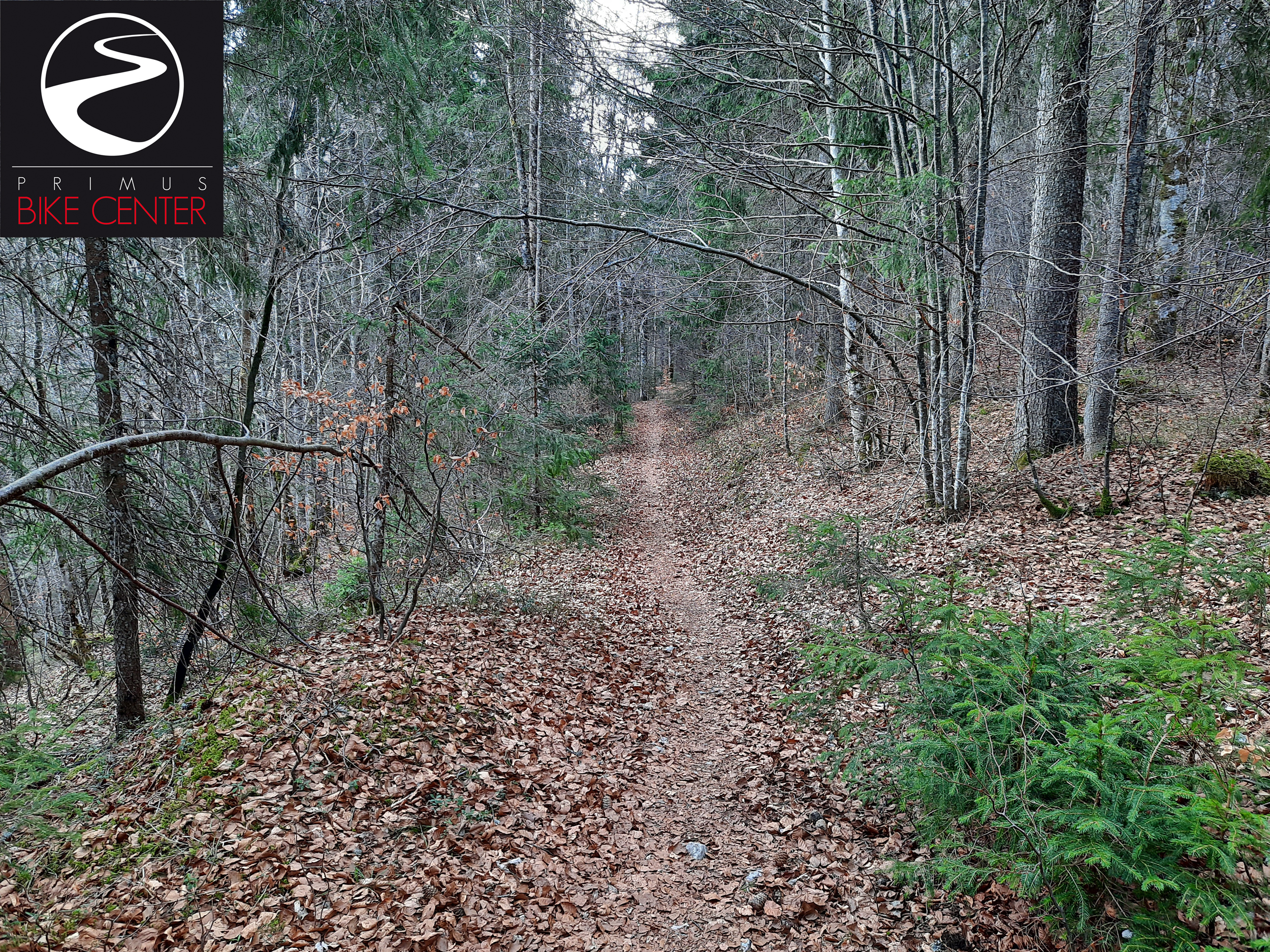 into the wild 2022 | PRIMUS BIKE CENTER
