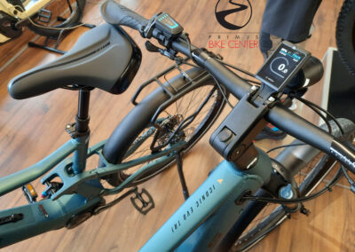 e-Bike BULLS Iconic Evo TR 1 750 2022 | PRIMUS BIKE CENTER