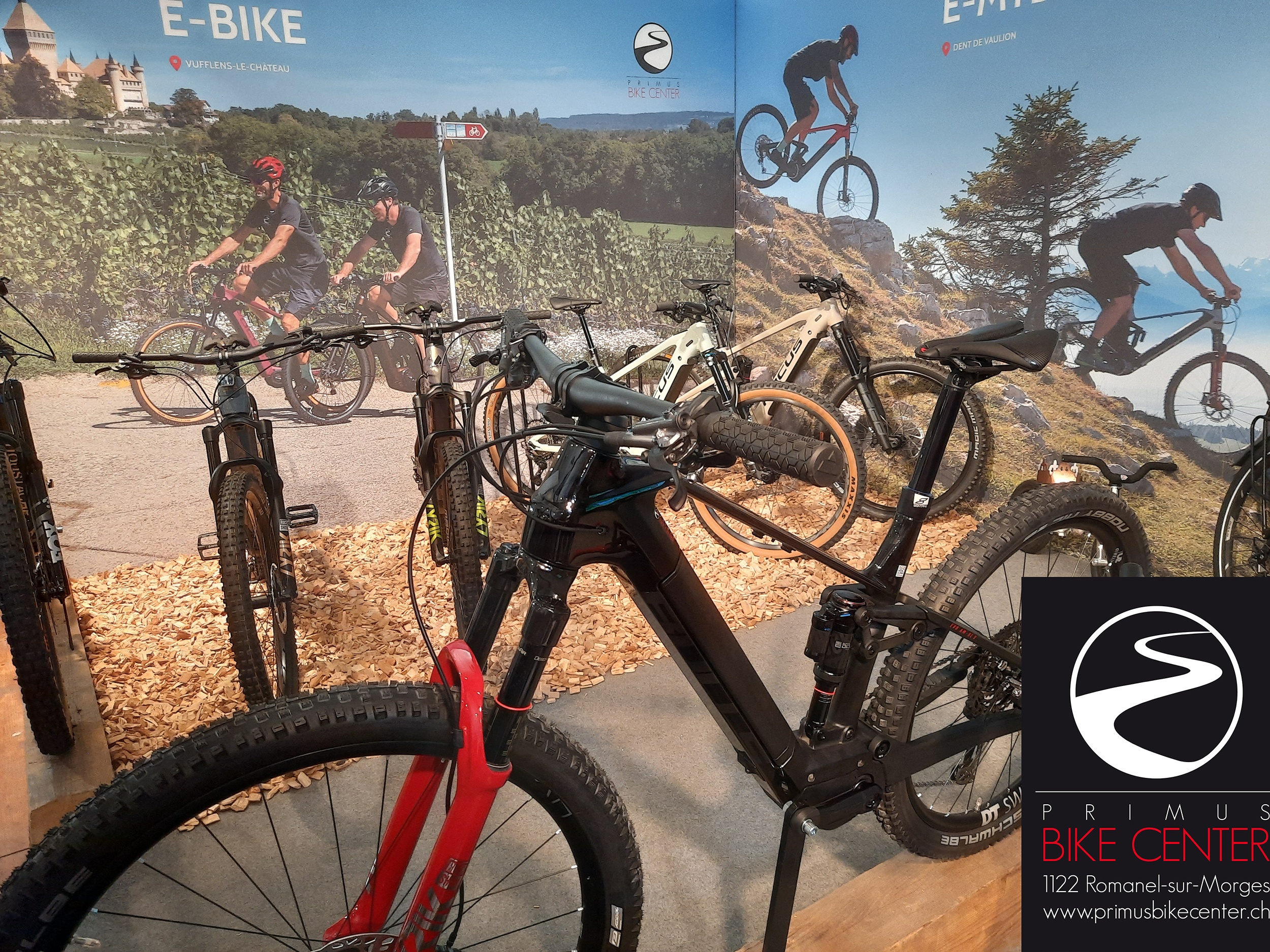 e-MTB Premium BULLS Sonic Evo AM-SL S Carbon | PRIMUS BIKE CENTER | Stand Expo de Coss