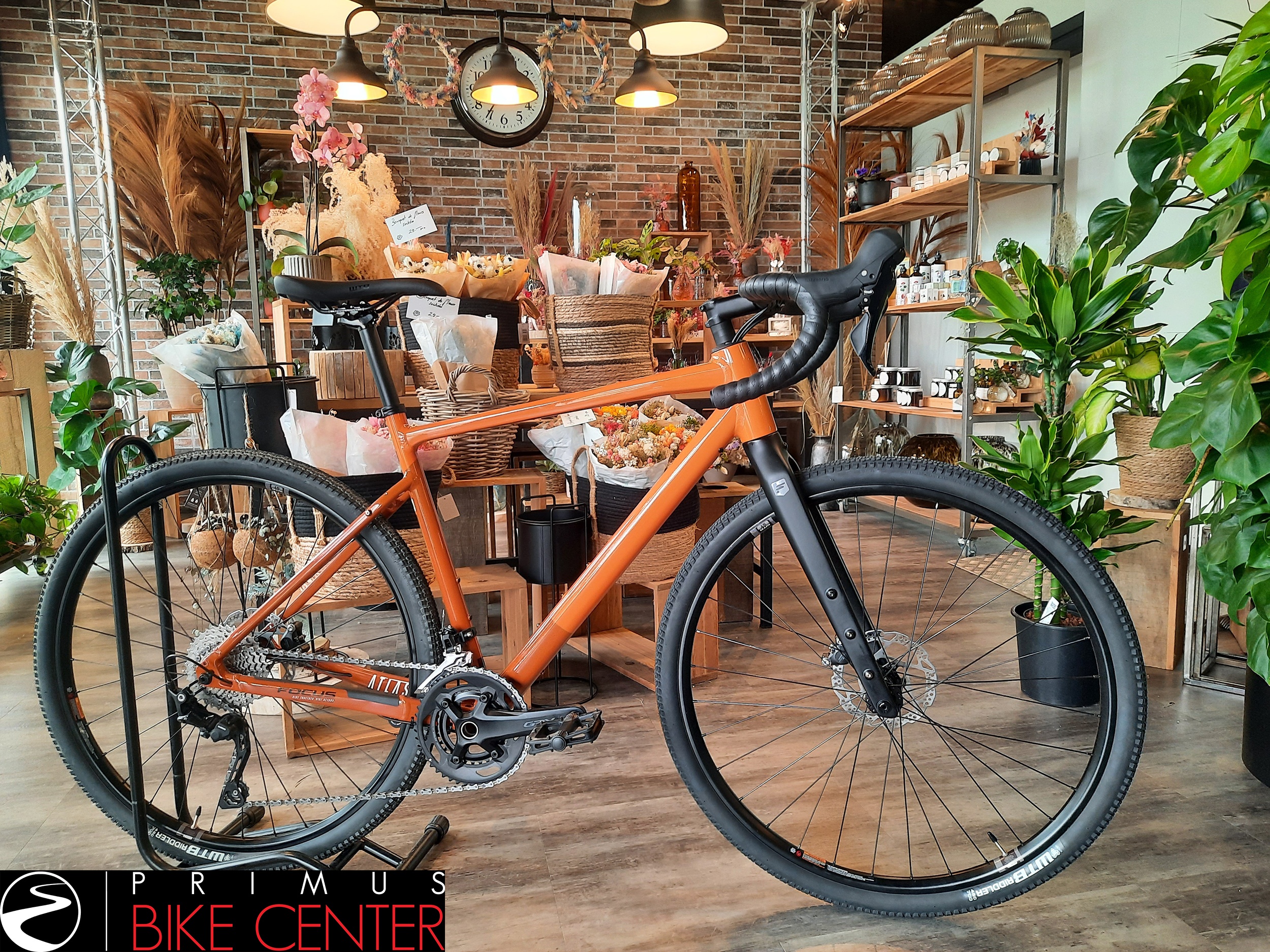 vélo Gravel FOCUS Atlas 6.7 rust orange - black | PRIMUS BIKE CENTER