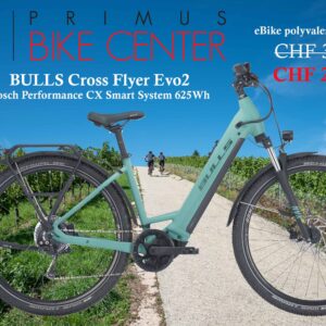 eBike BULLS Cross Flyer Evo 2 Wave 2024 | PRIMUS BIKE CENTER