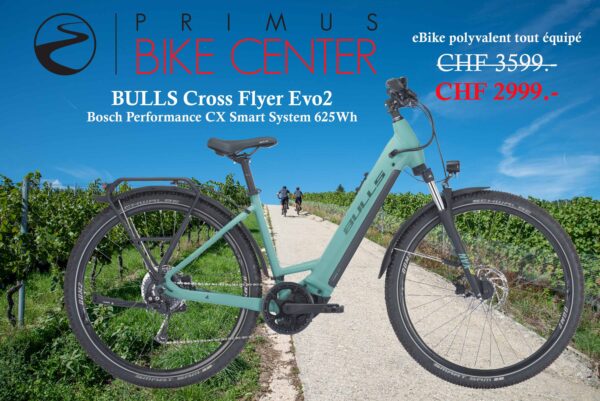eBike BULLS Cross Flyer Evo 2 Wave 2024 | PRIMUS BIKE CENTER