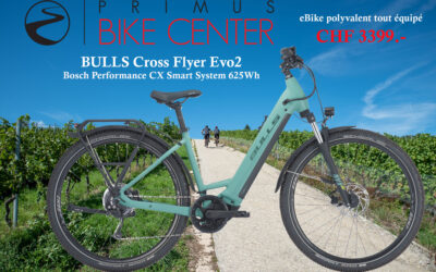 eBike BULLS Cross Flyer Evo 2 Wave 2024 | PRIMUS BIKE CENTER