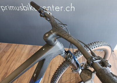 BULLS Wild Edge Team 2025 | PRIMUS BIKE CENTER