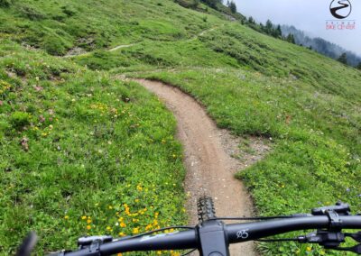 Torrenttrail Bike | Primus Bike Center