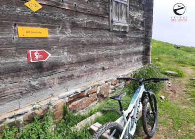 Torrenttrail Bike | Primus Bike Center