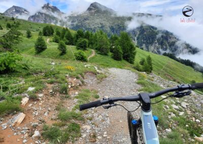 Torrenttrail Bike | Primus Bike Center