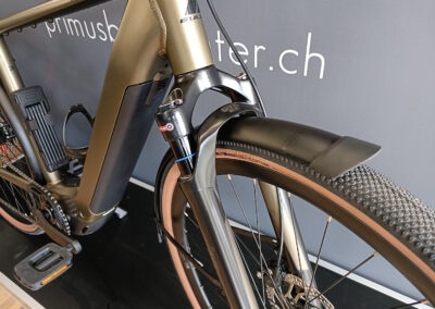 e-Gravel BULLS Daily Grinder Evo SX 2026 | PRIMUS BIKE CENTER