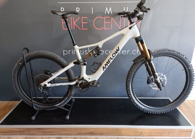eMTB AMFLOW PX Carbon Pro (XL) | PRIMUS BIKE CENTER