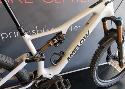 eMTB AMFLOW PX Carbon Pro (XL) | PRIMUS BIKE CENTER