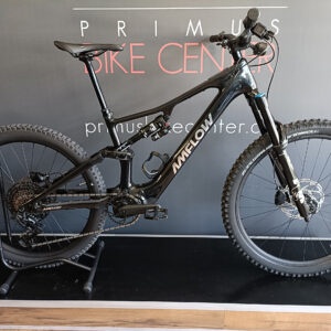 eMTB AMFLOW PX Carbon (L) | PRIMUS BIKE CENTER